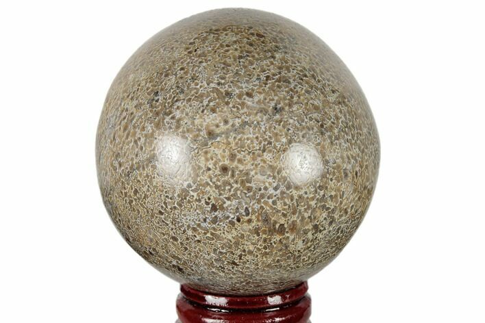 Polished Agatized Dinosaur (Gembone) Sphere - Morocco #189815
